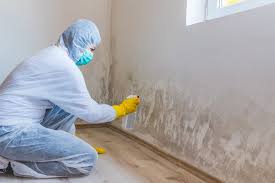 Best Forensic Mold Investigation in USA