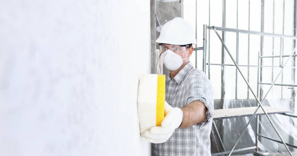 Best Asbestos and Lead Testing During Mold Inspection in USA